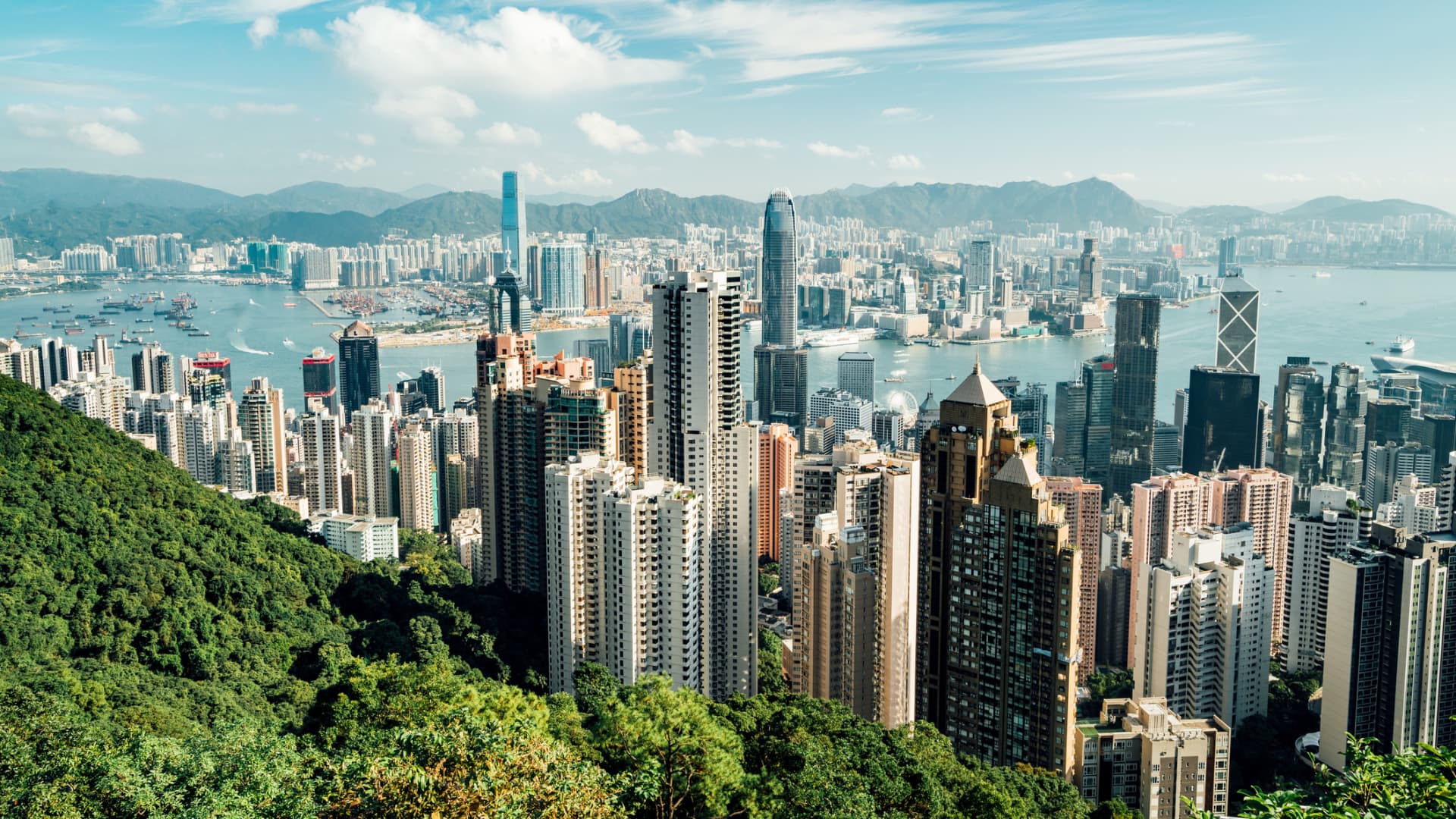 Hong Kong’s Regencell Bioscience triples in latest surge for a speculative stock