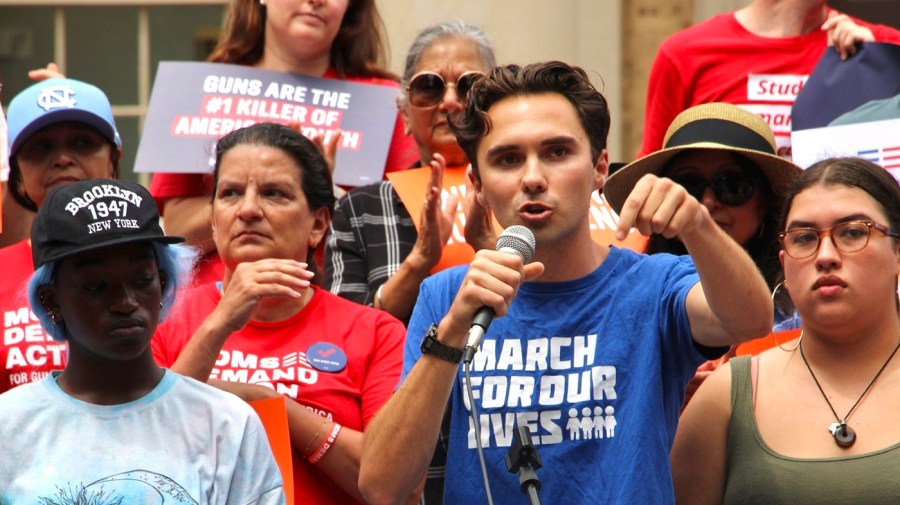 Hogg: Too many Democratic leaders 'asleep at the wheel'