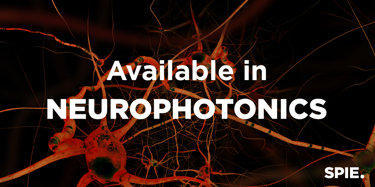Photon transport through the entire adult human head