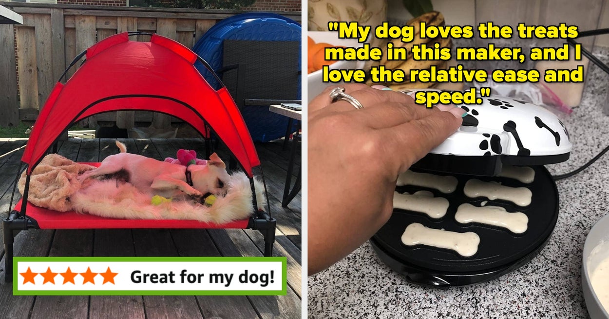 If Treating Your Dog Makes You Happy, Then You’ll Want To Look At These 27 Products