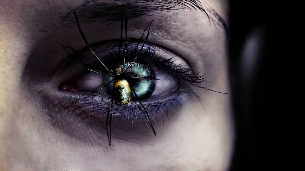 Bots are overwhelming websites with their hunger for AI data • The Register